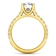Pave Diamond EngagementRing Anabelle 14K Yellow Gold