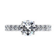 Round Diamond Pave Engagement Ring Grande 14K White Gold