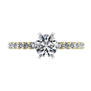Pave Diamond EngagementRing Lauren 14K Yellow Gold