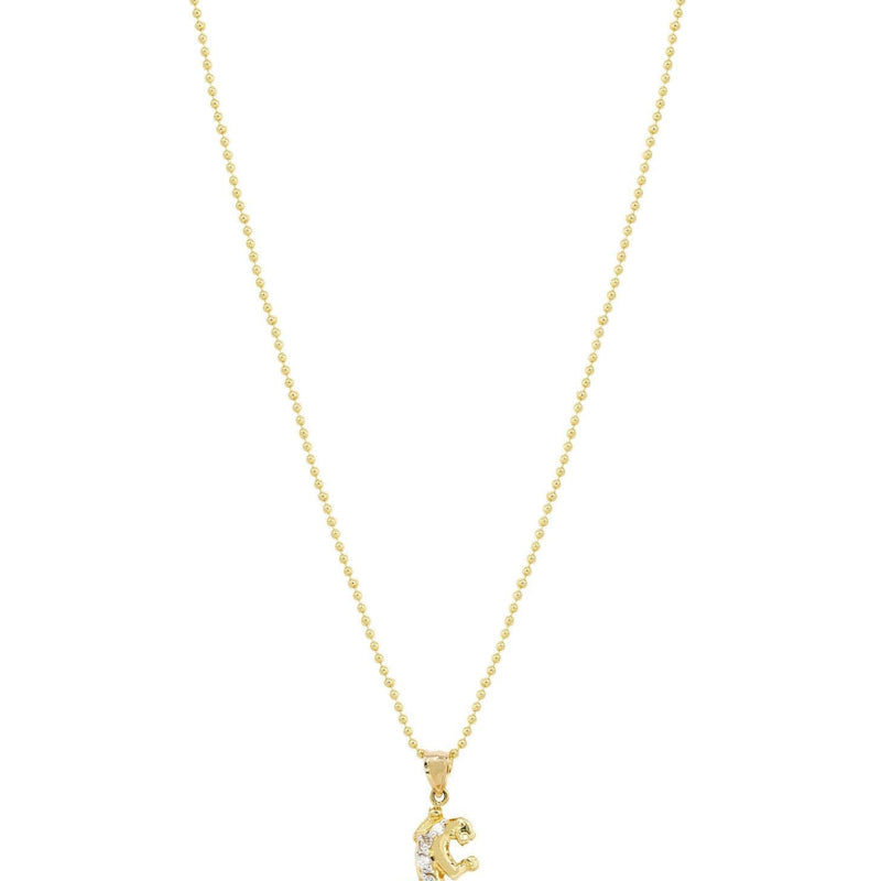 10K Yellow Gold Dog Tag Tiger Necklace | Appx. 9 Grams
