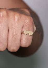 Mens Hearts Signet Ring - 10K Gold | 2 Grams