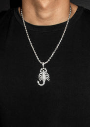 Silver Scorpion Necklace | 33 Grams