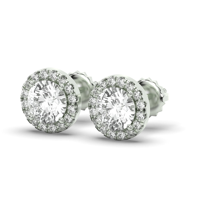 Men's Jewelry - VVS Lab Diamond Halo Stud Earrings For Men | 14K White Gold