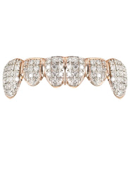 Gold 6 Teeth Full Diamond Grills